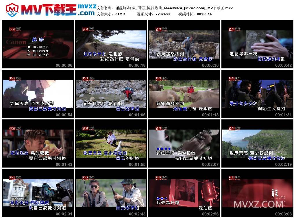 谢霆锋-锋味_国语_流行歌曲_MA408074
